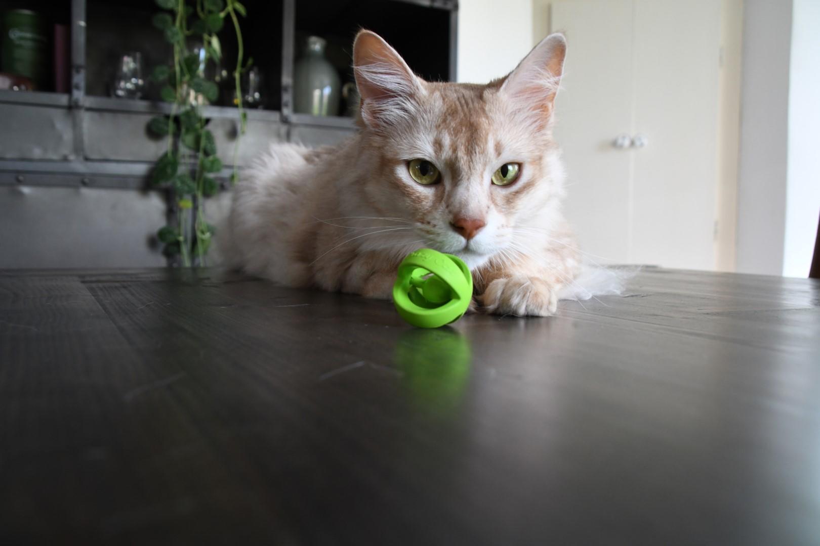 Wacky Wobbler Green ball cat toy