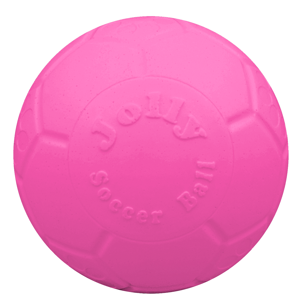 Football for dogs 20cm