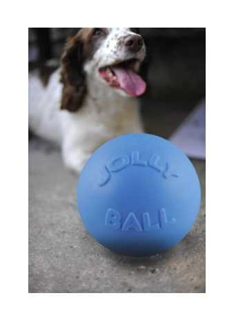 Bounce-n Play 15cm dog ball