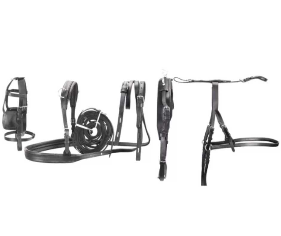 Single Harness for Carriage