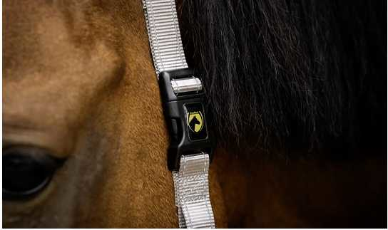 Monza Headcollar, halter