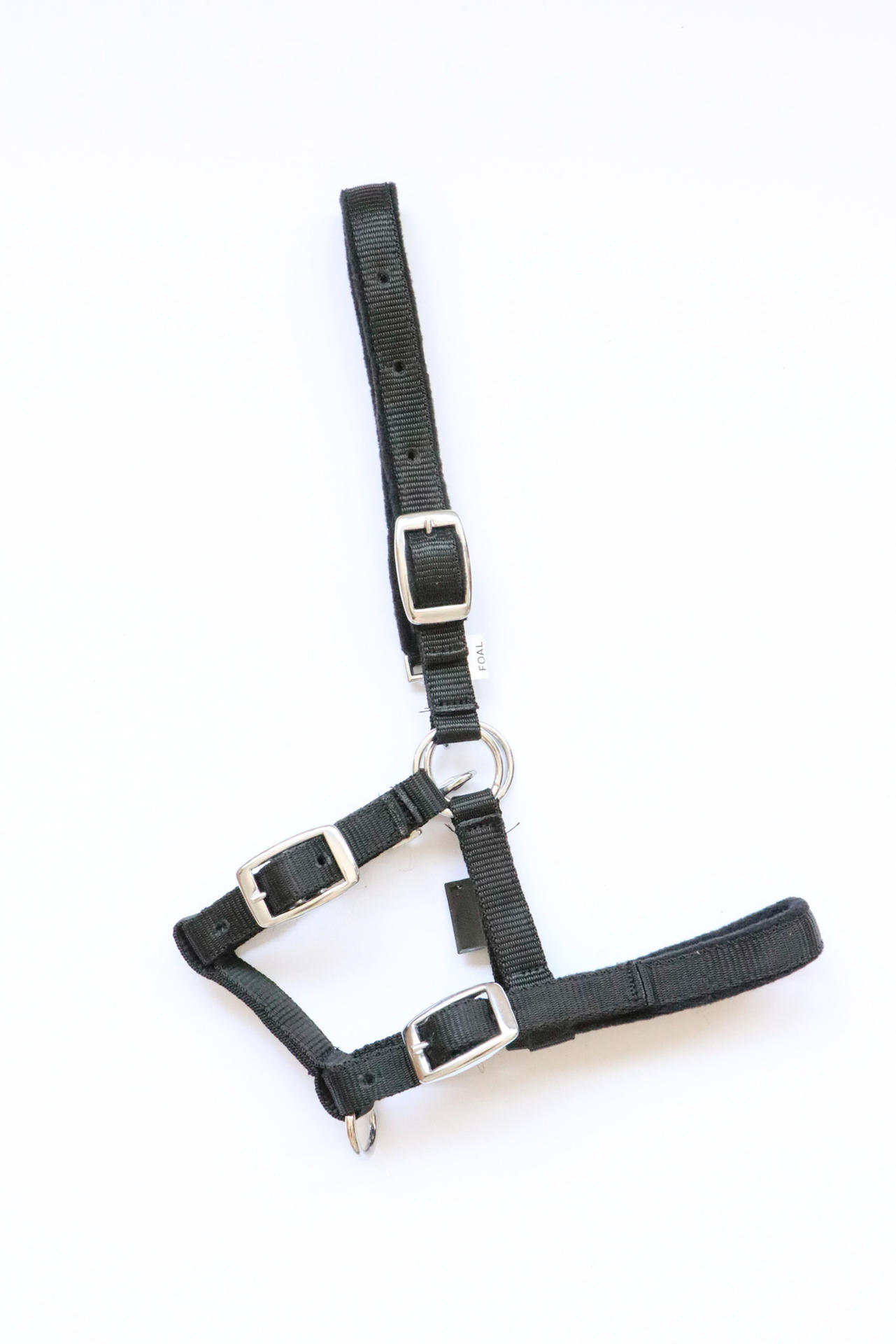 Melfi headcollar, halter for foal