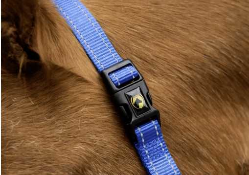 Monza Headcollar, halter