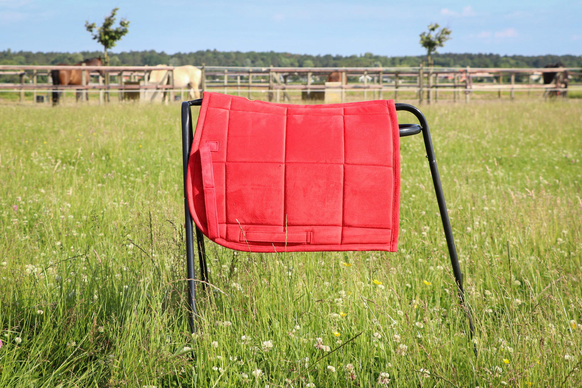 Saddle pads for Shetland pony
