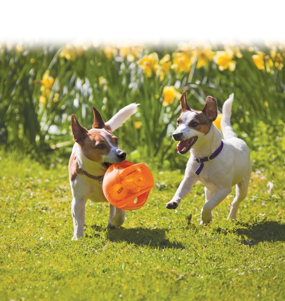 Jumbler ball 13,9 cm