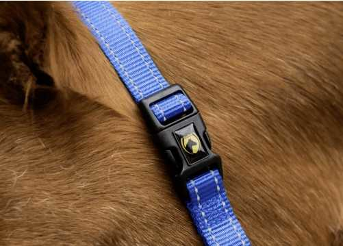 Monza Headcollar, halter