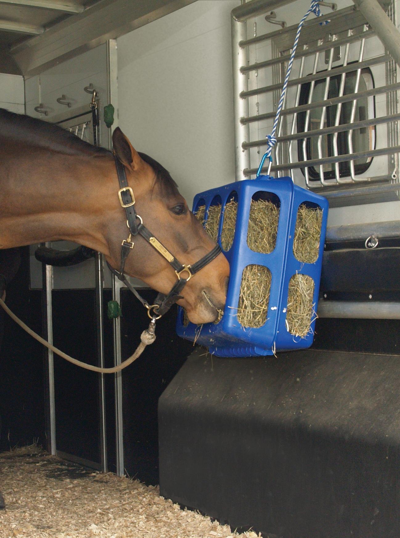 hay rack 80cmx50cm plastic stable animal housing feeding drink technology container