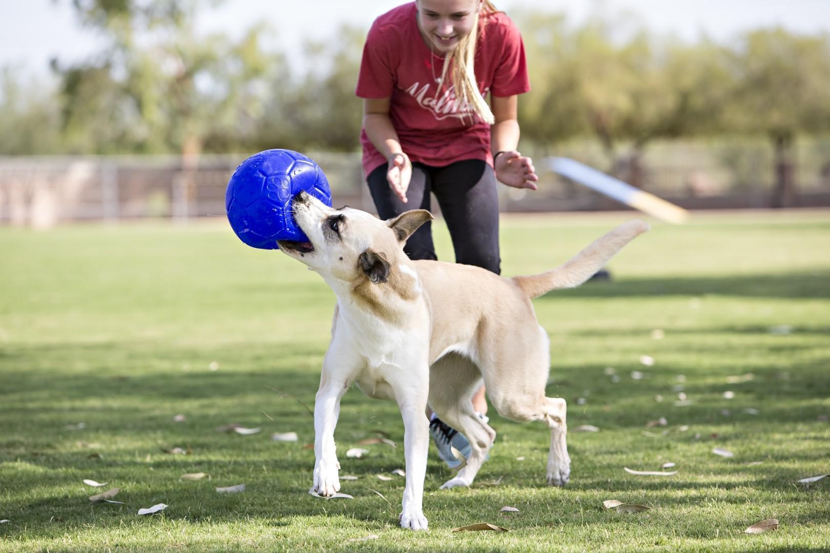 Jolly Soccer Ball 15cm