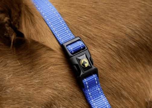 Monzo Headcollar, halter