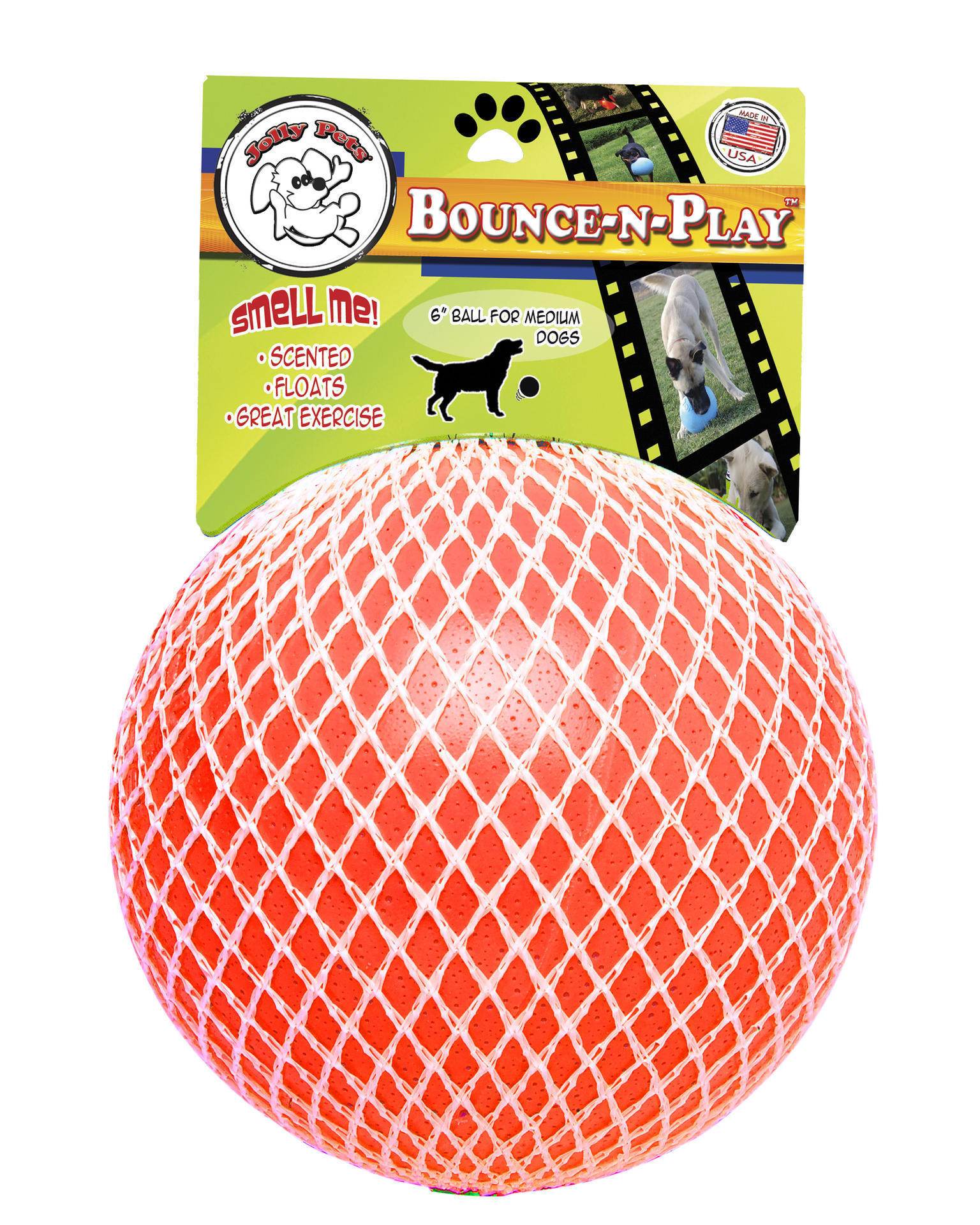 Bounce-n Play 20cm dog ball