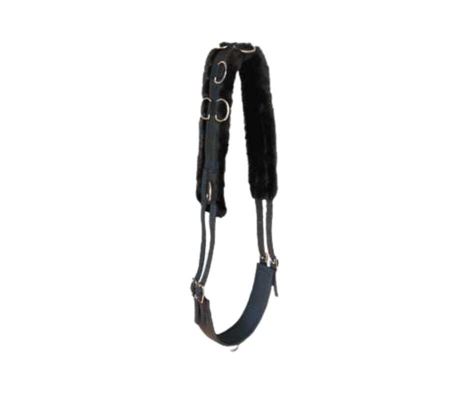 Morthy training harness