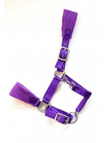 Bellwood mini headcollar, halter