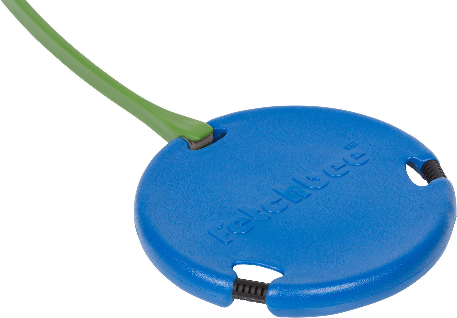 Blue dog toy frisbee