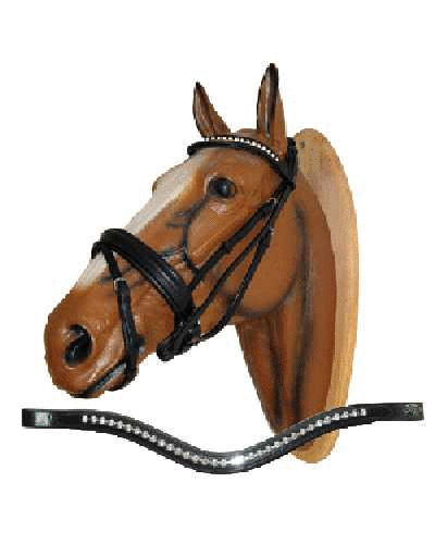 Tropical bridle