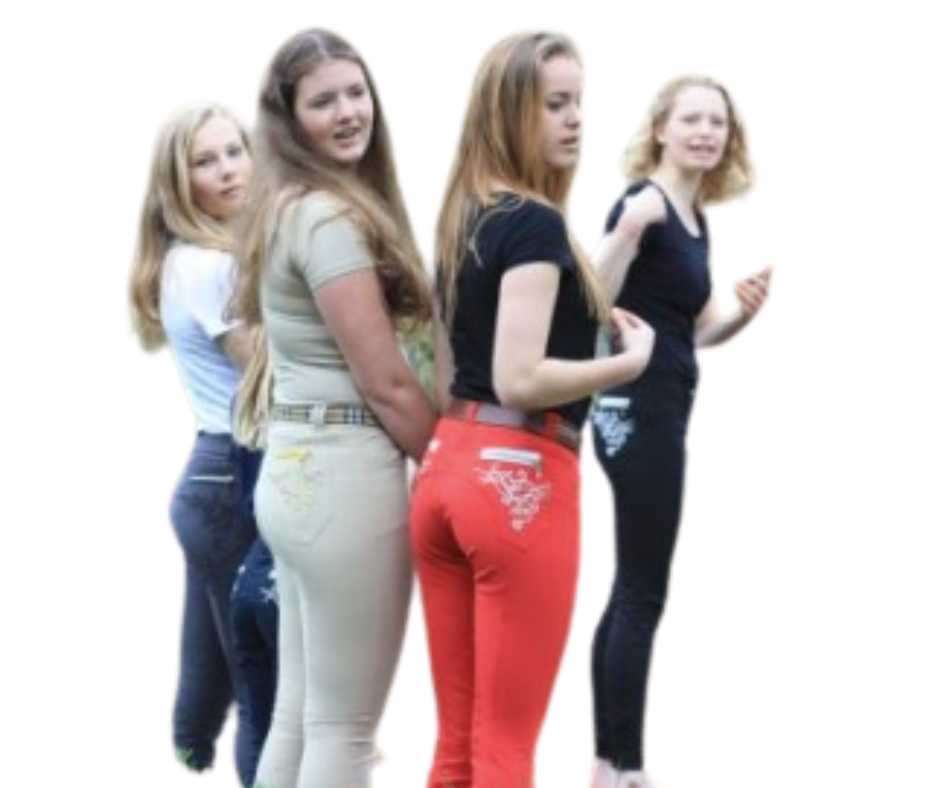 Brooklyn ladies riding breeches