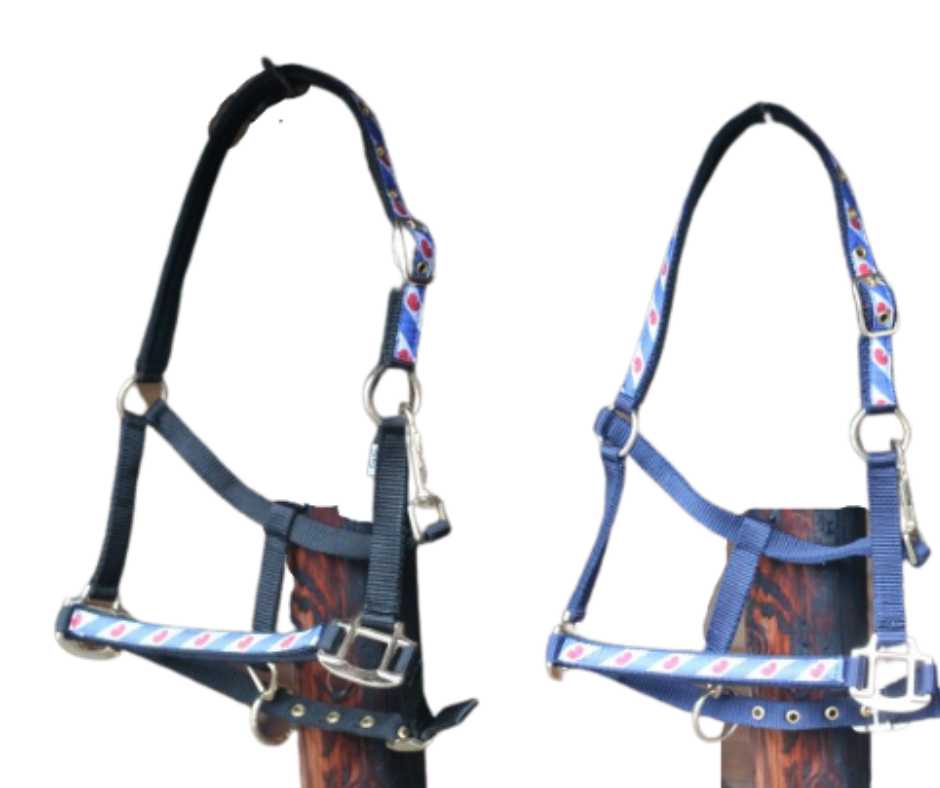 Kailo headcollar, halter