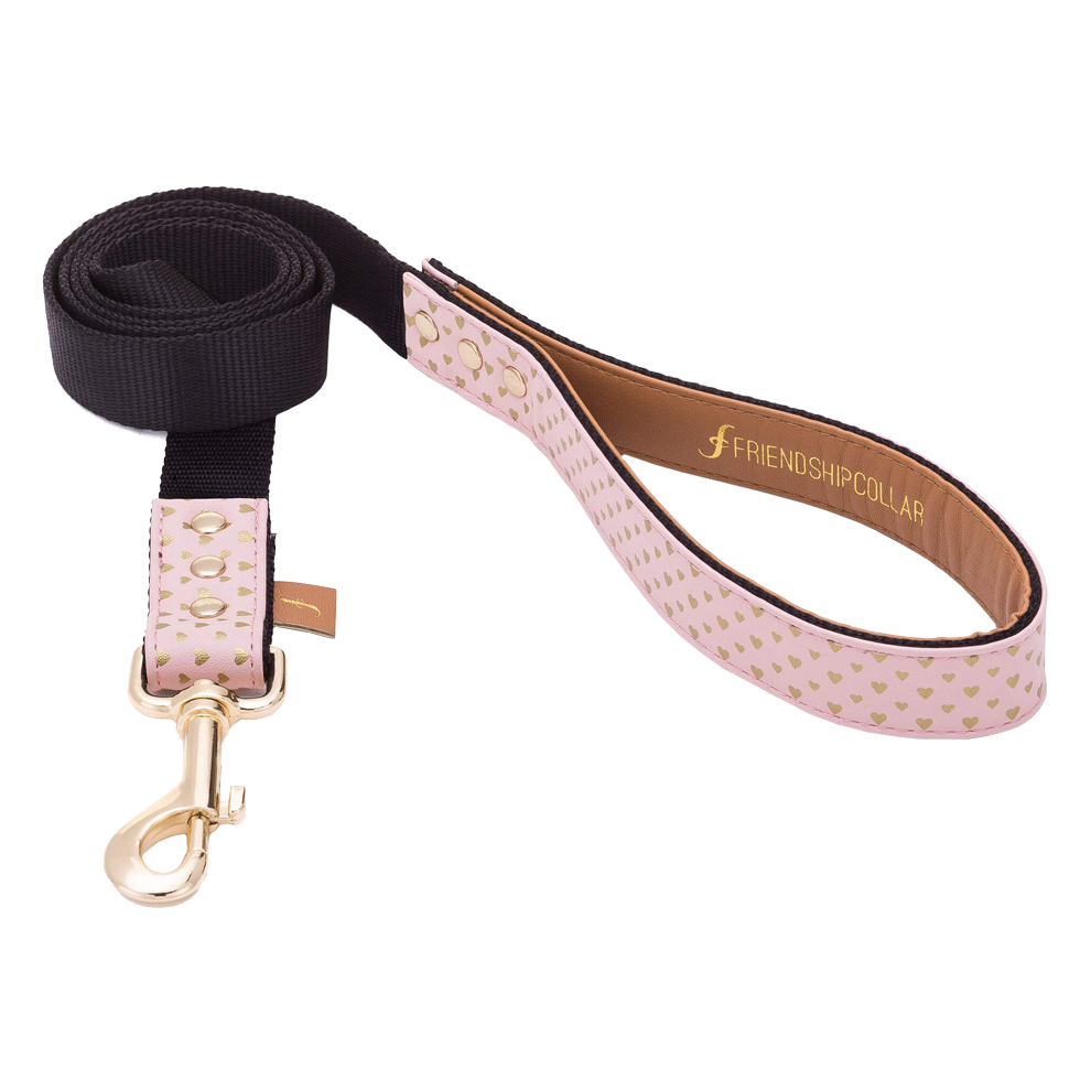 The Puppy Love dog leash 120 cm