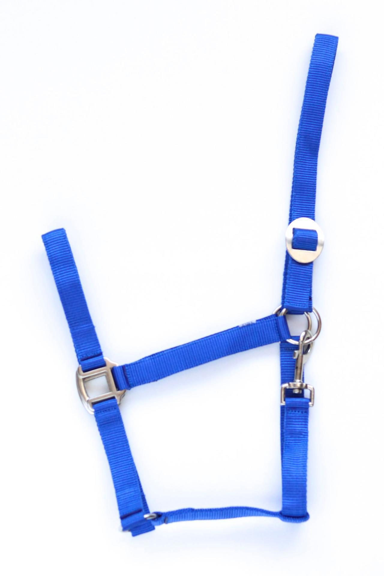 Apollo Nylon headcollar
