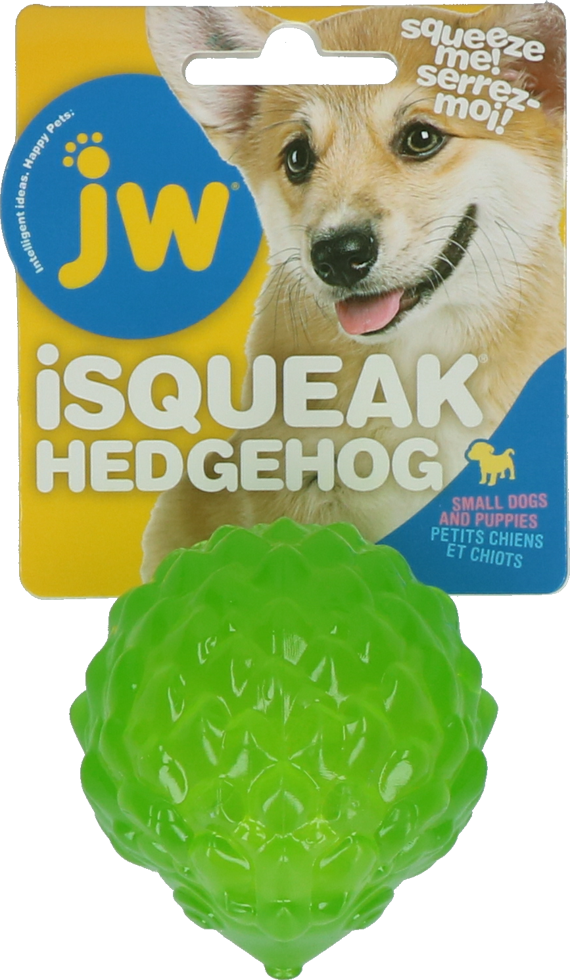 Hedgehog Squeaky Ball Small