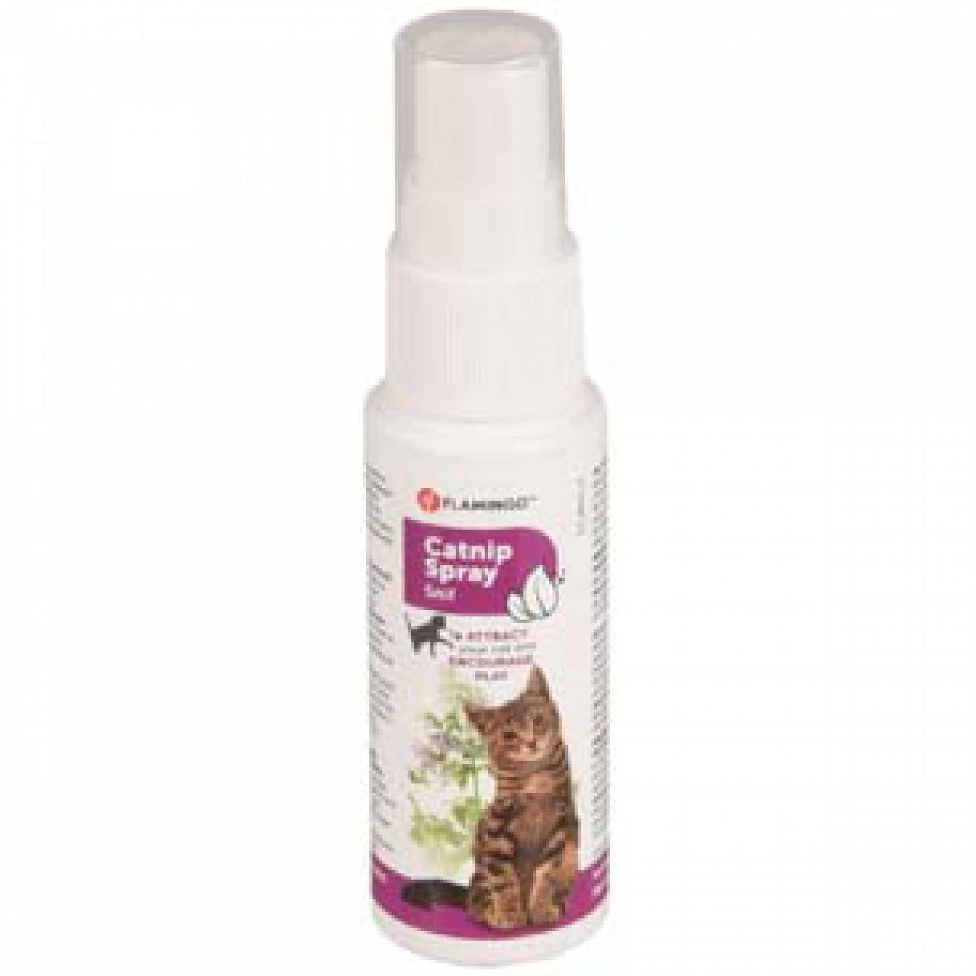 Catnip spray 25 ml Reward bite catnip