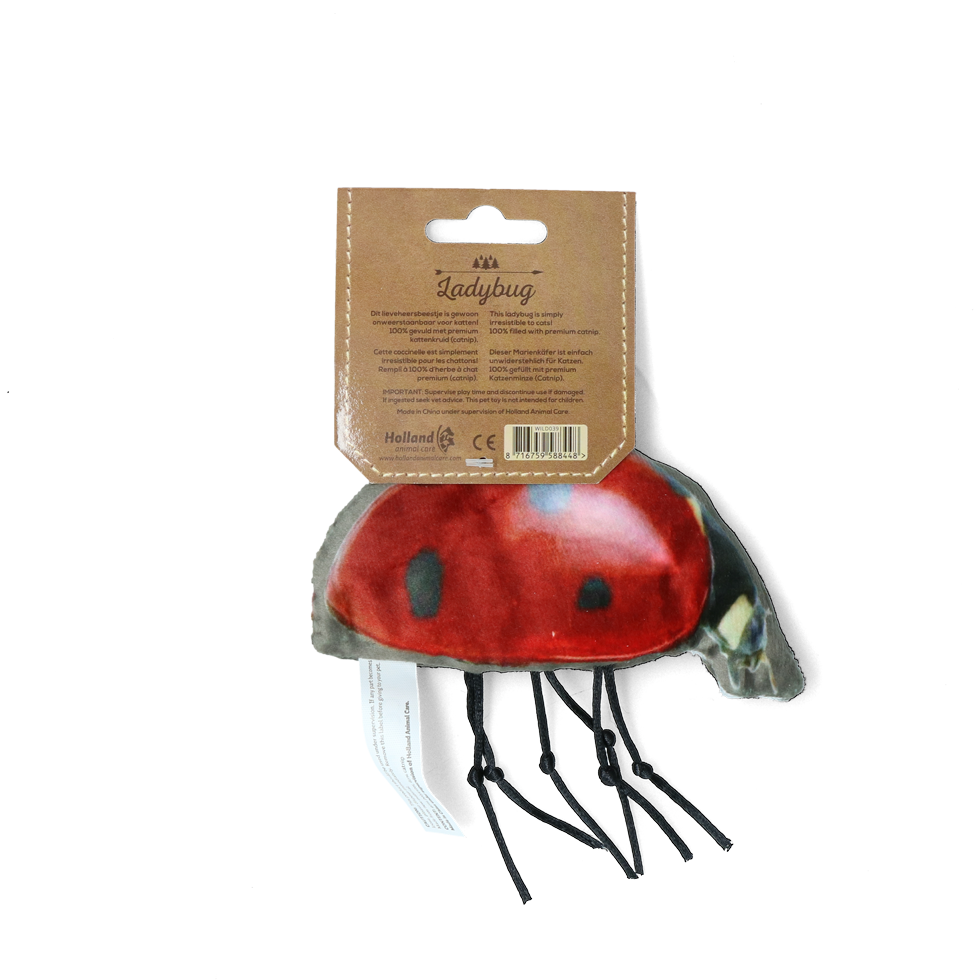 Ladybug cat toy stuffed with catnip
