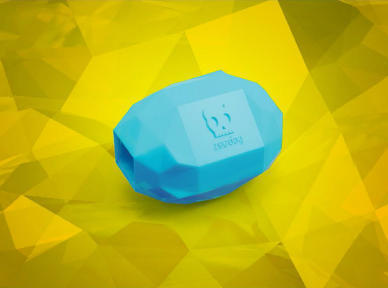 Kiwi shaped dog toy chew toy