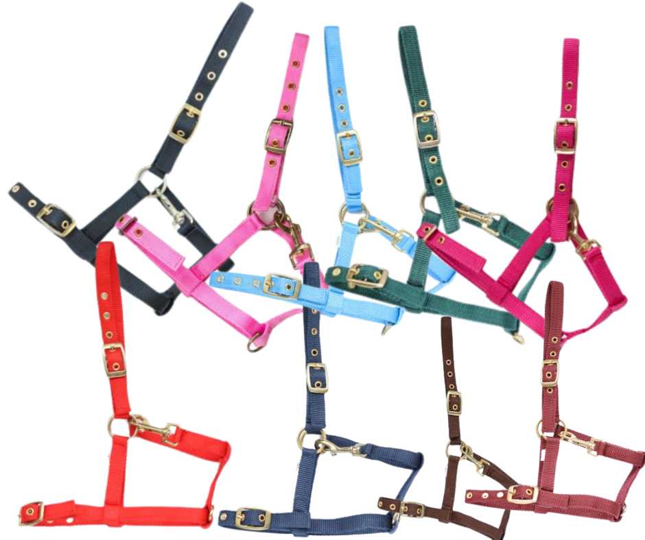 Princess headcollar, halter for foal