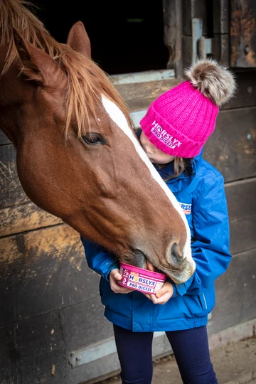 Flavoured lollipops for horses