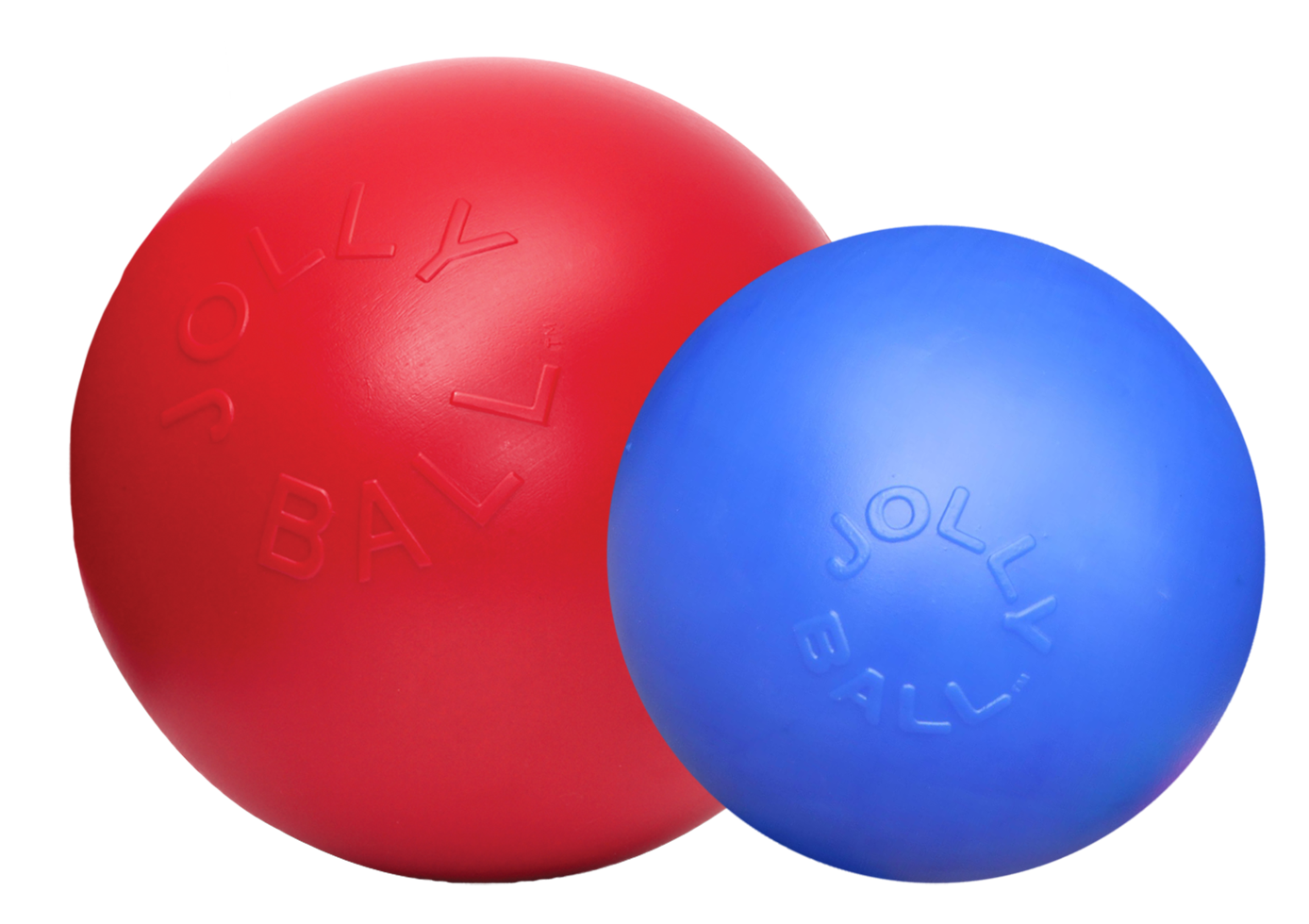 Push-n-Play 25cm dog ball blue