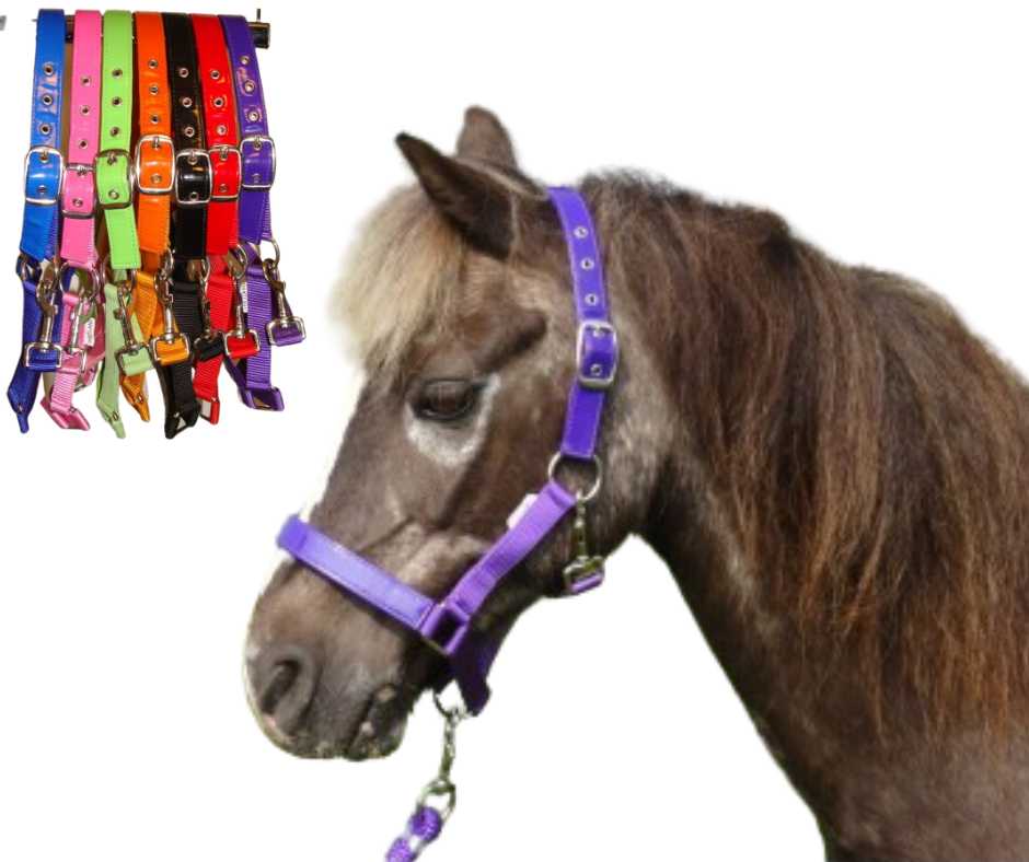 Celzi Headcollar, halter