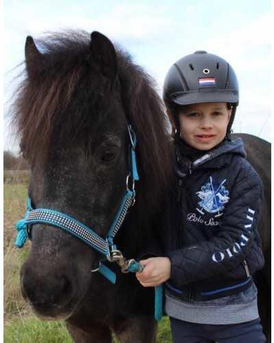 Volla Headcollar, halter