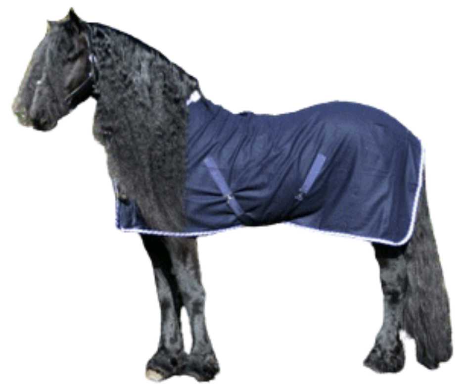 Enna thin horse rug