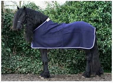 Grand Canyon XX Horse rug