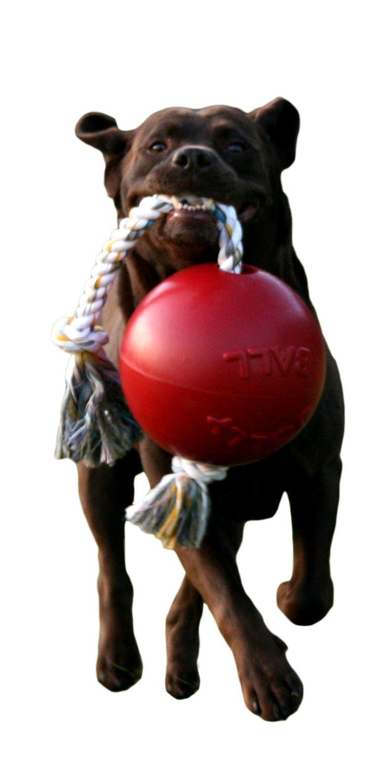 Scented red dog ball with rope