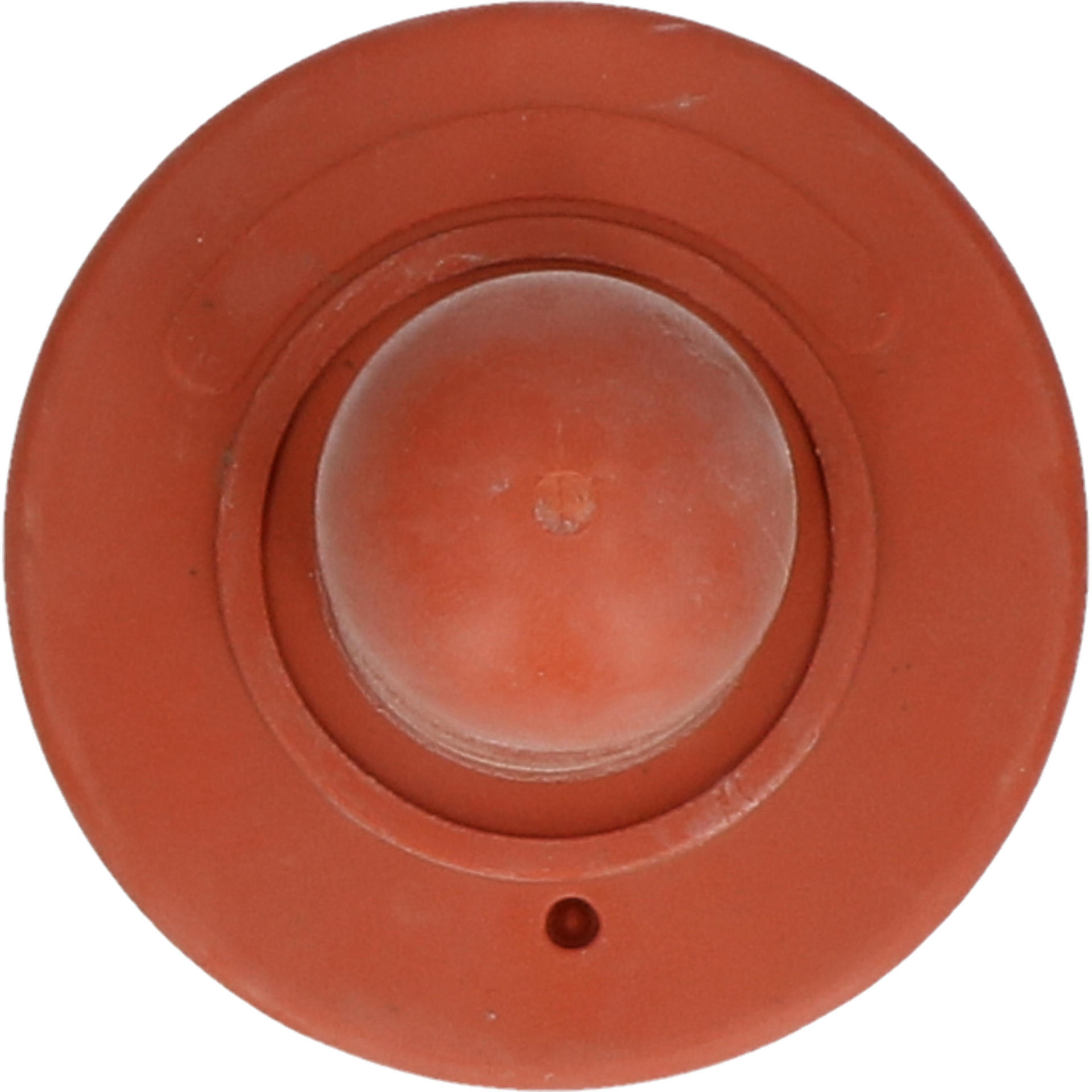 Spare teat for 2,5 litre calf feeding bottle cattle, breeding