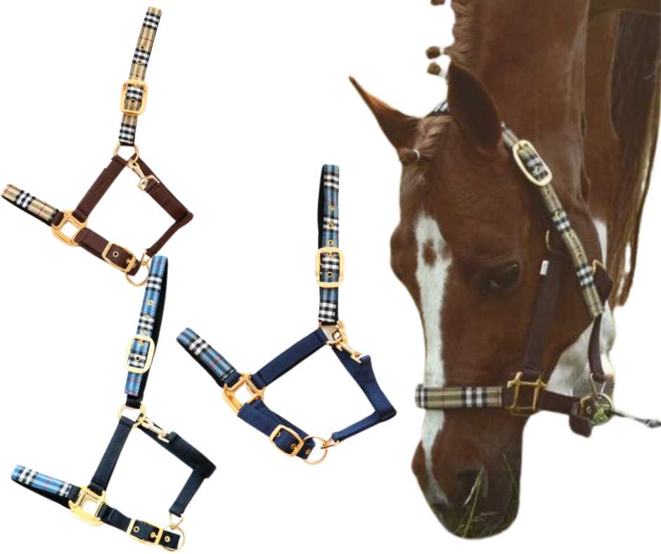 Special Edition headcollar, halter
