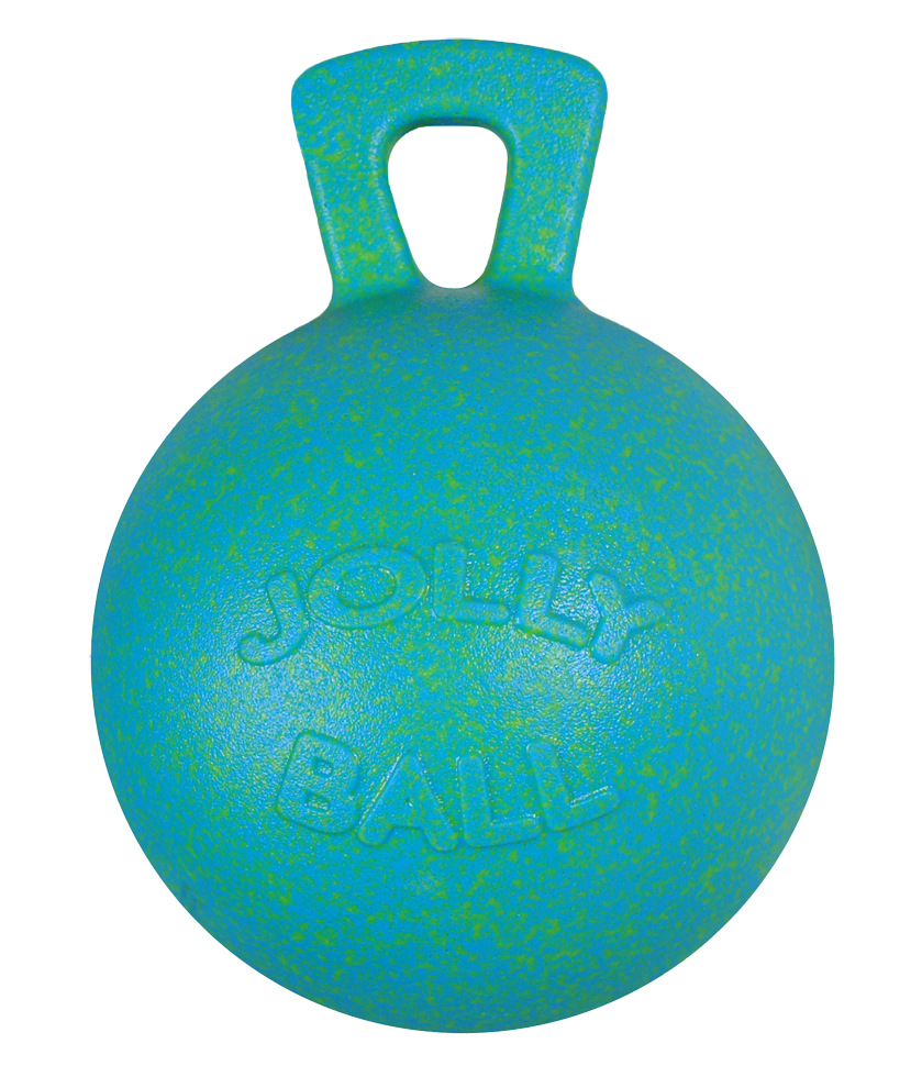 Play ball for horses 2
