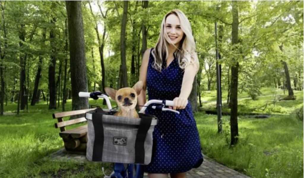 Bicycle basket for dogs