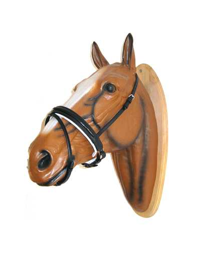 Bellano noseband