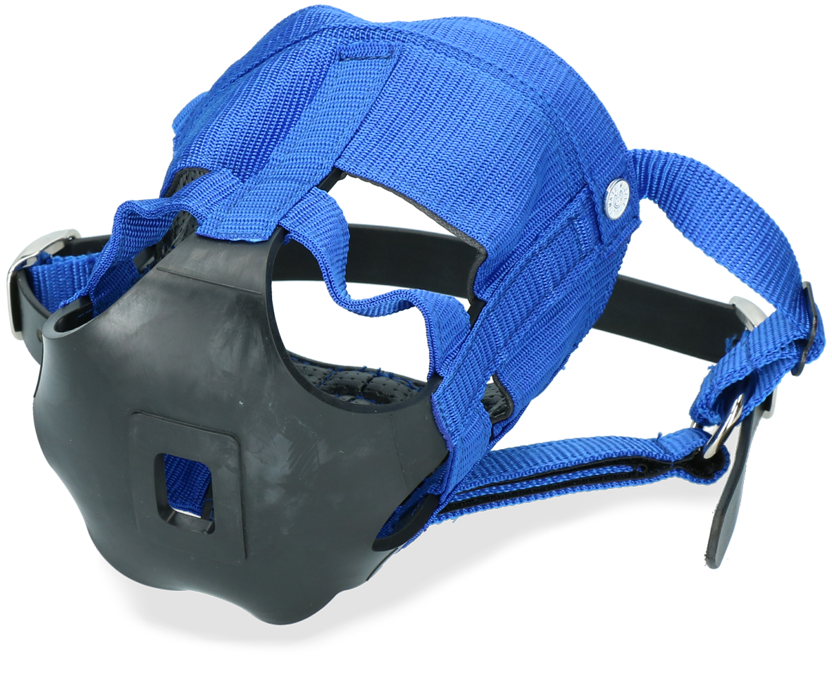 Horse grazing muzzle