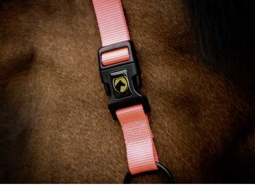 Monzo Headcollar, halter