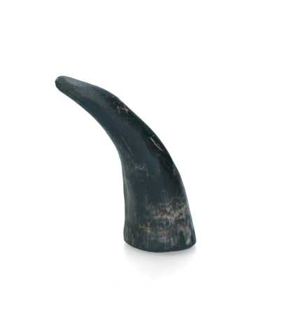 Horn shaped chewing bone L