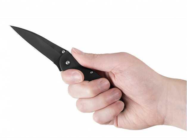 Leek 1660CKT folding knife