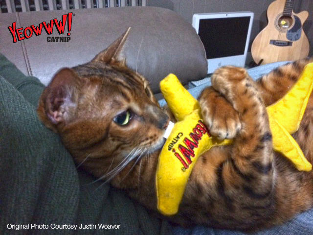 Chicata banana cat toy filled with catnip