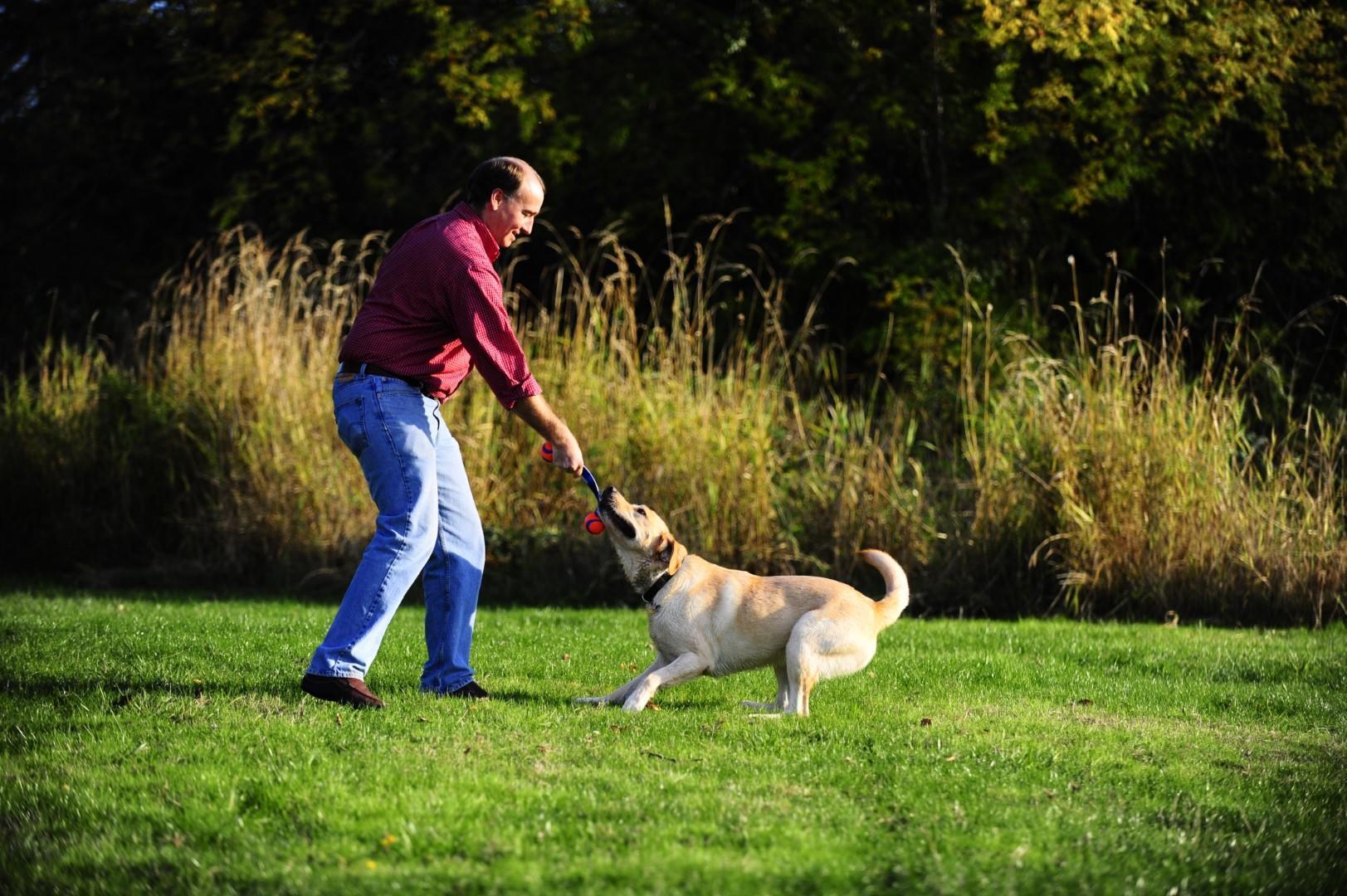Ultra Duo tennis balls