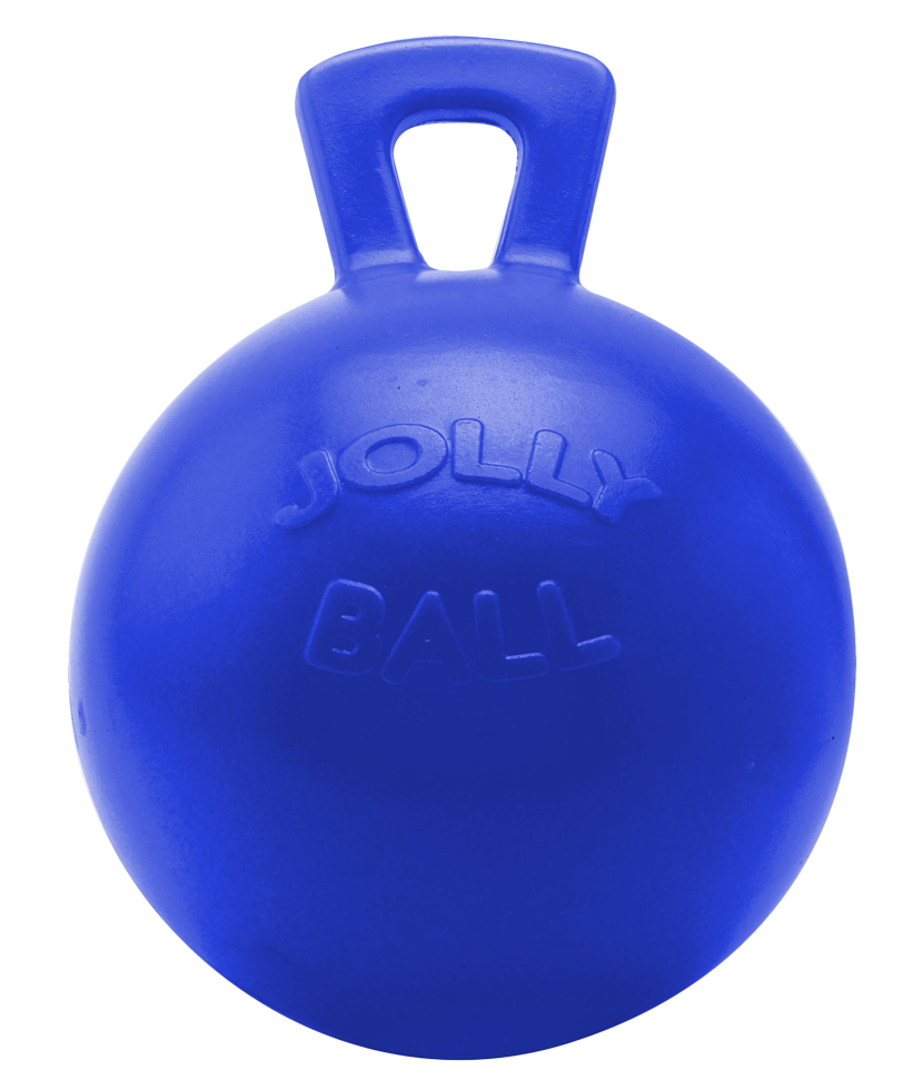 Play ball for horses 2
