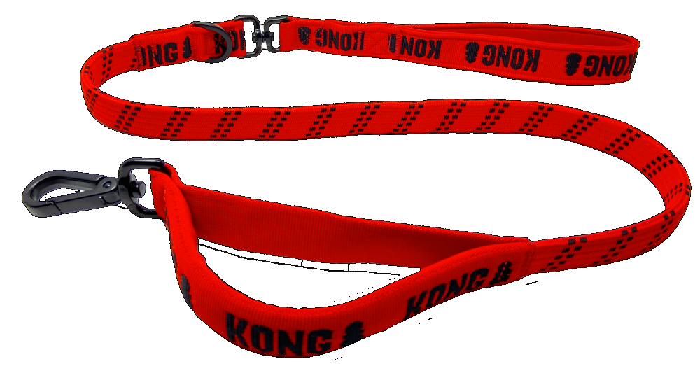 Premium dog leash red