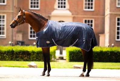 Showtime Goliath XL horse rug