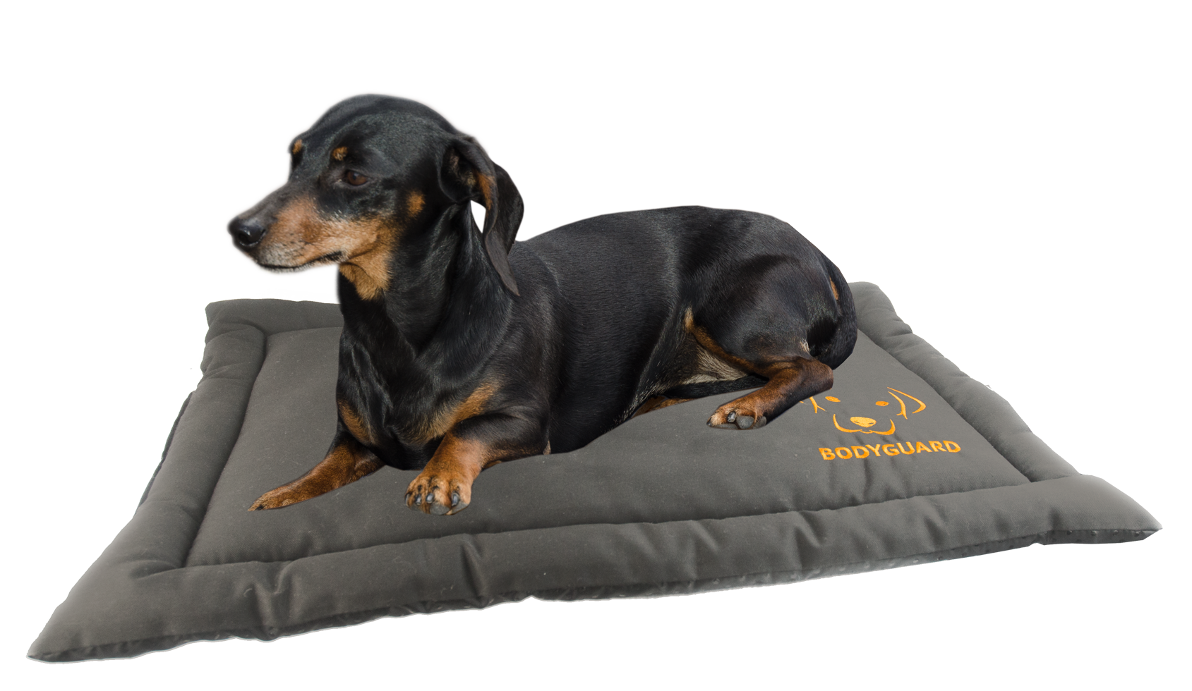 Dog rug for travel S black