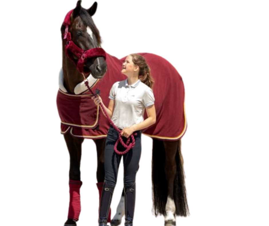 Antony horse rug